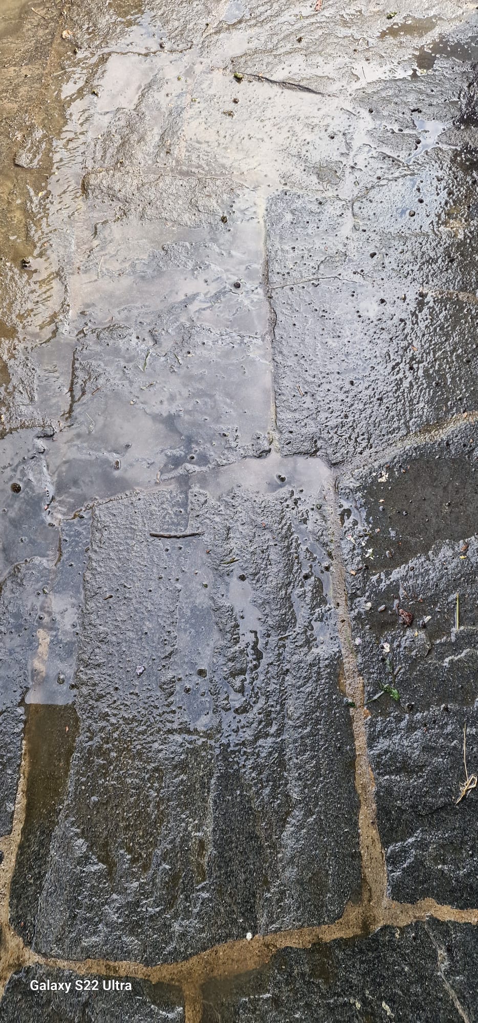 Pflaster-Reinigung mit Dampf – Vorher